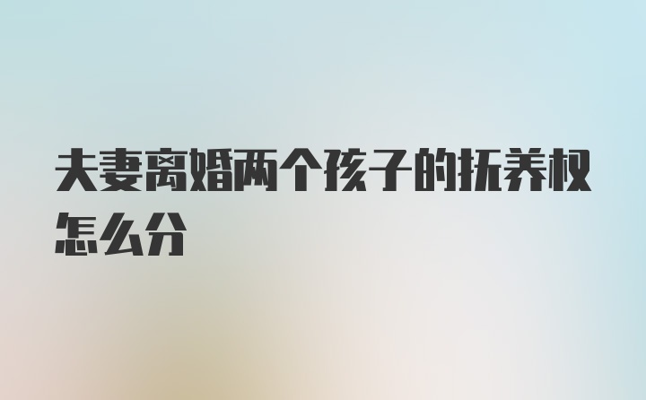 夫妻离婚两个孩子的抚养权怎么分