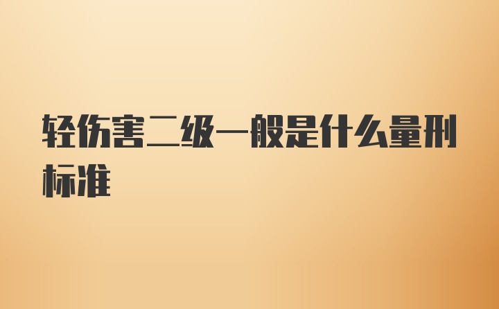 轻伤害二级一般是什么量刑标准