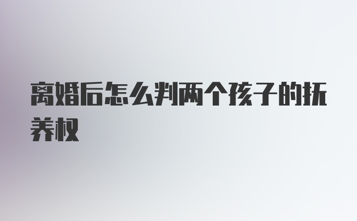 离婚后怎么判两个孩子的抚养权