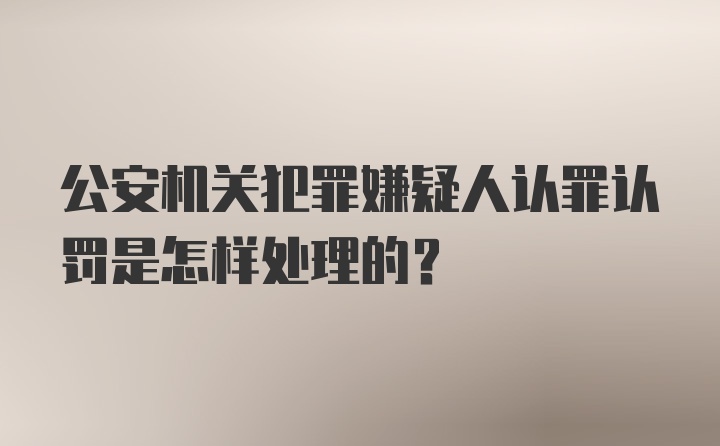 公安机关犯罪嫌疑人认罪认罚是怎样处理的？