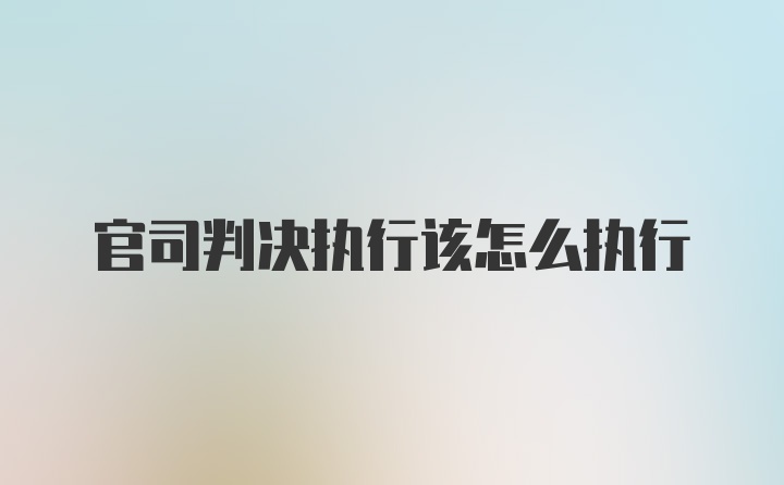 官司判决执行该怎么执行