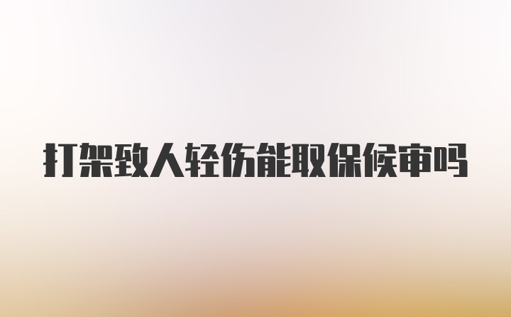 打架致人轻伤能取保候审吗