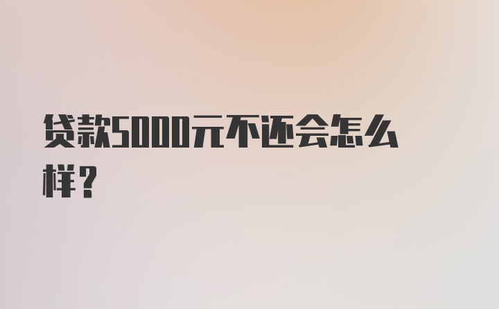 贷款5000元不还会怎么样？