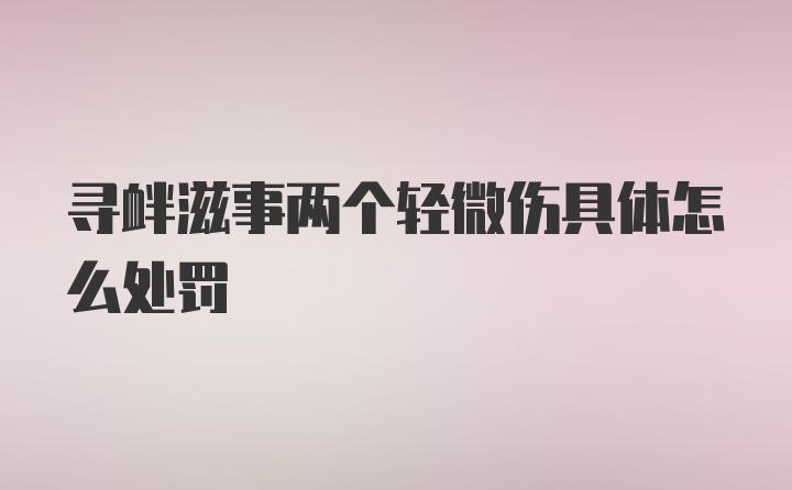 寻衅滋事两个轻微伤具体怎么处罚