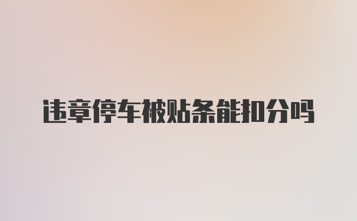 违章停车被贴条能扣分吗