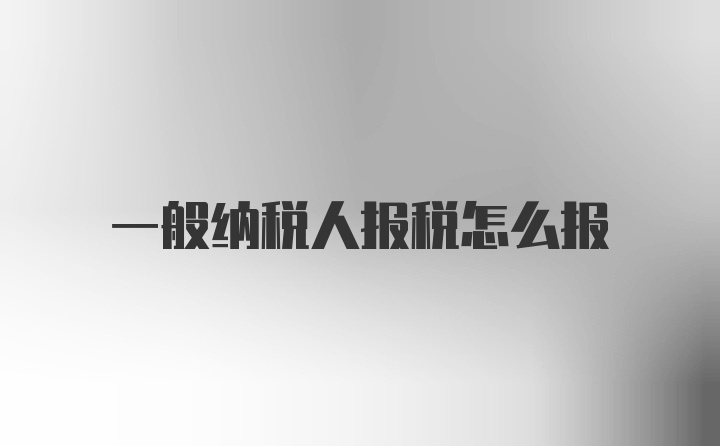 一般纳税人报税怎么报