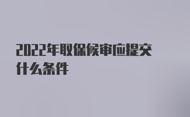 2022年取保候审应提交什么条件