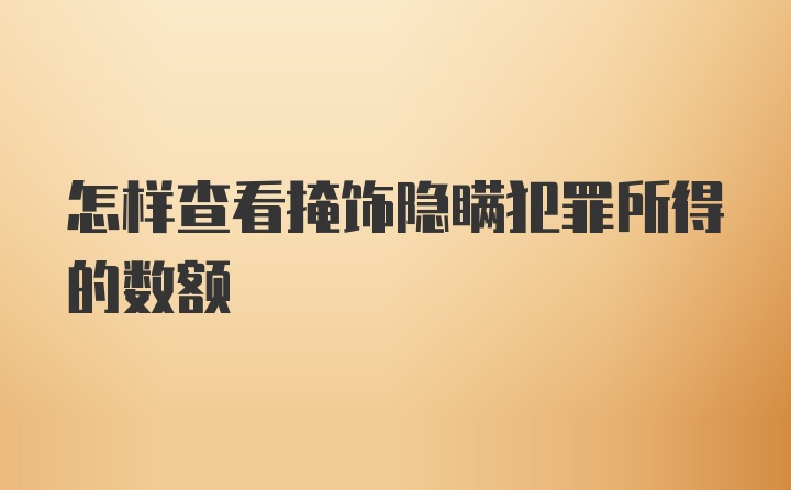 怎样查看掩饰隐瞒犯罪所得的数额