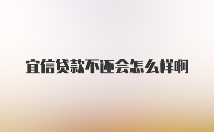 宜信贷款不还会怎么样啊