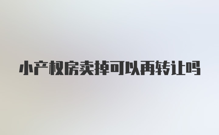 小产权房卖掉可以再转让吗