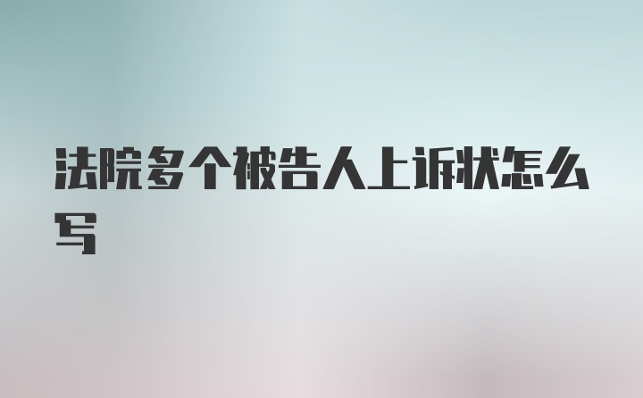 法院多个被告人上诉状怎么写