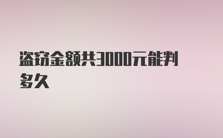 盗窃金额共3000元能判多久