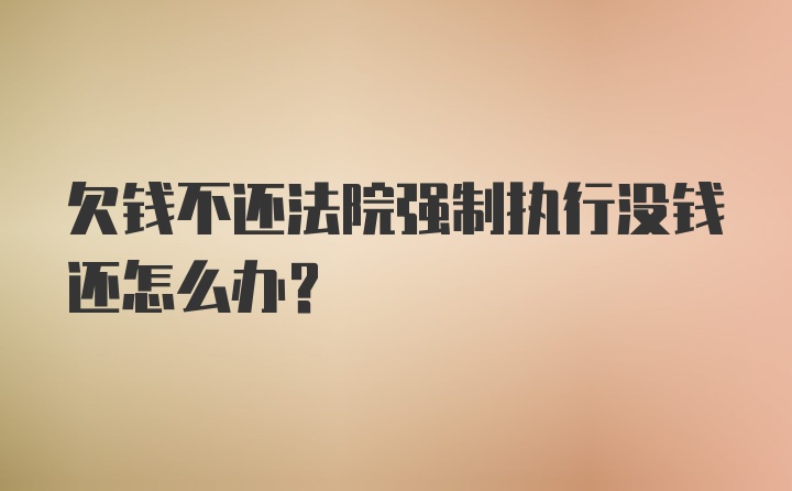 欠钱不还法院强制执行没钱还怎么办？