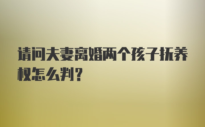 请问夫妻离婚两个孩子抚养权怎么判？