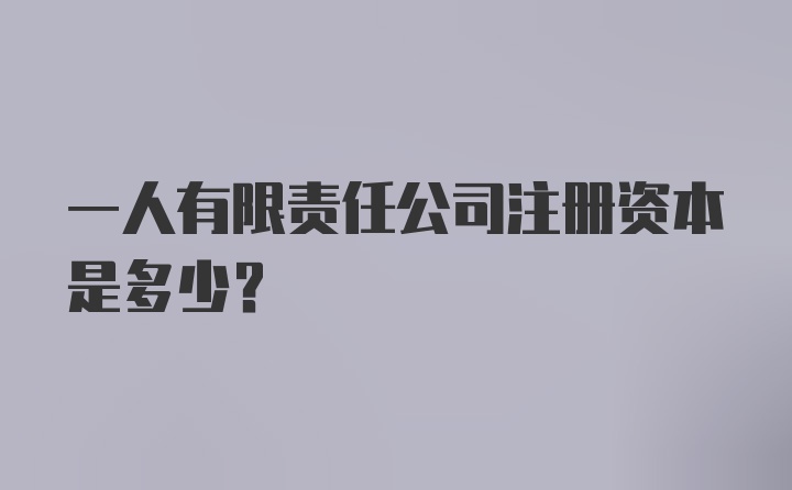 一人有限责任公司注册资本是多少？