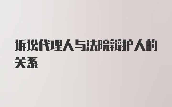 诉讼代理人与法院辩护人的关系