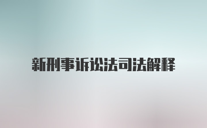 新刑事诉讼法司法解释