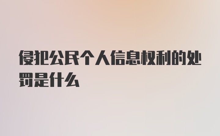 侵犯公民个人信息权利的处罚是什么