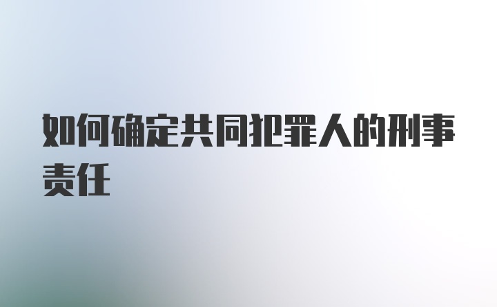 如何确定共同犯罪人的刑事责任