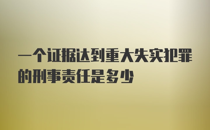 一个证据达到重大失实犯罪的刑事责任是多少