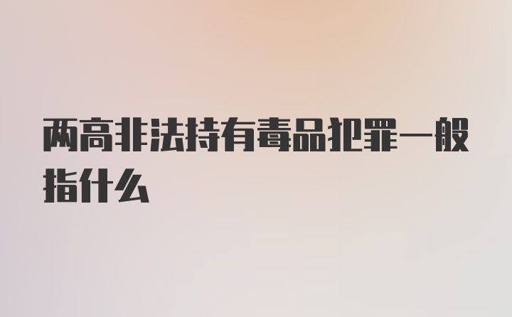 两高非法持有毒品犯罪一般指什么