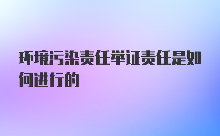 环境污染责任举证责任是如何进行的