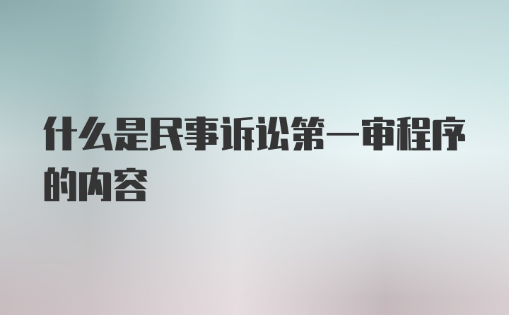 什么是民事诉讼第一审程序的内容