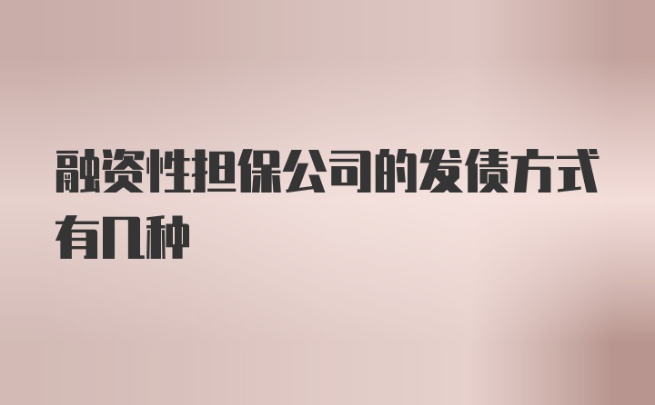 融资性担保公司的发债方式有几种