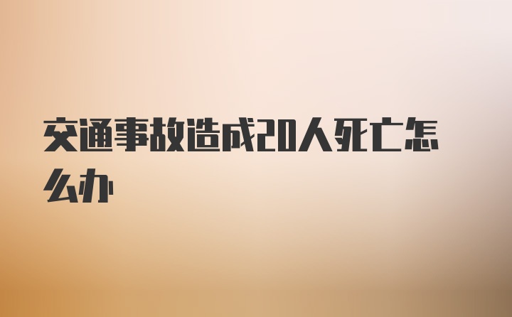 交通事故造成20人死亡怎么办