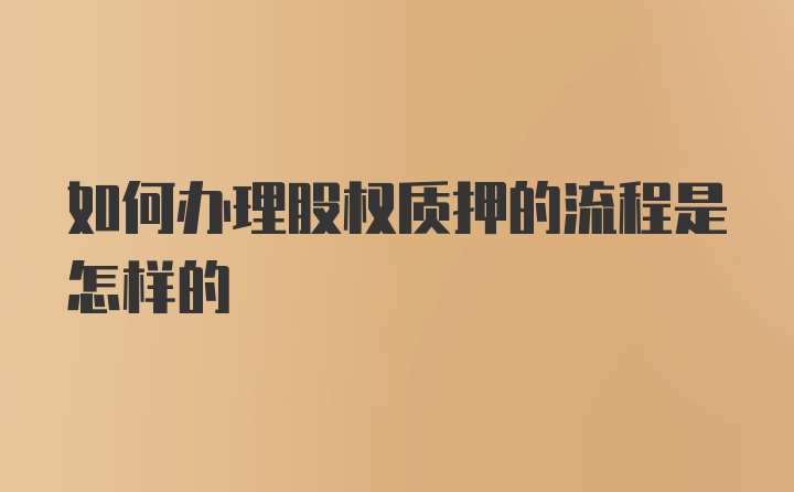 如何办理股权质押的流程是怎样的