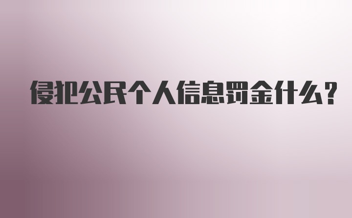 侵犯公民个人信息罚金什么？