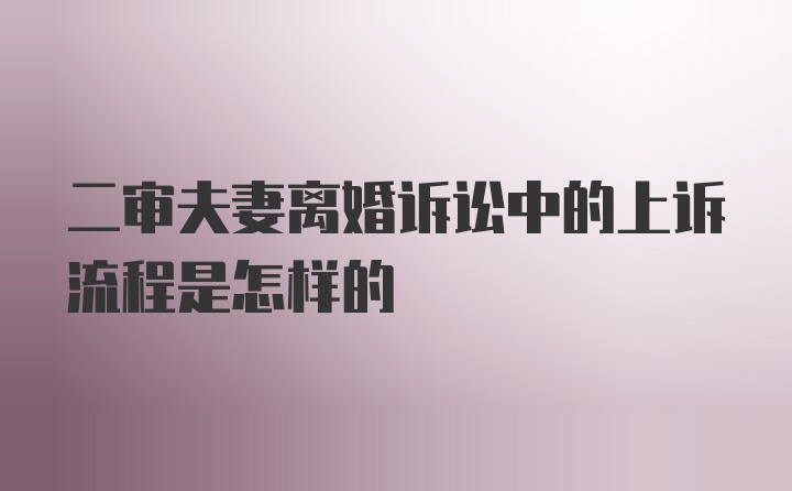 二审夫妻离婚诉讼中的上诉流程是怎样的