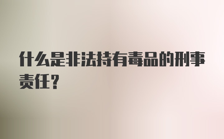 什么是非法持有毒品的刑事责任？