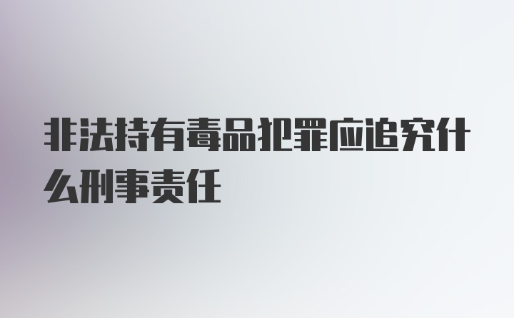 非法持有毒品犯罪应追究什么刑事责任