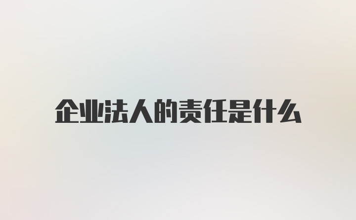 企业法人的责任是什么