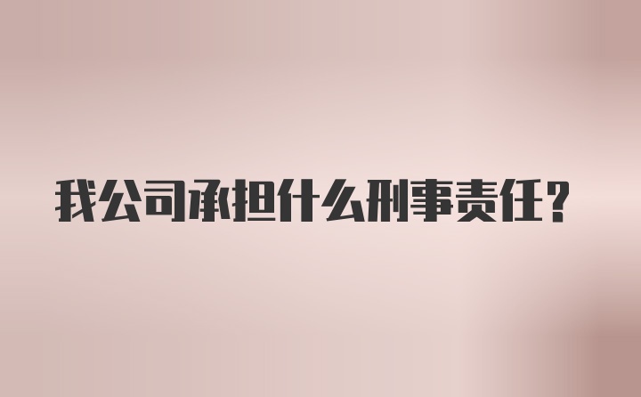 我公司承担什么刑事责任？