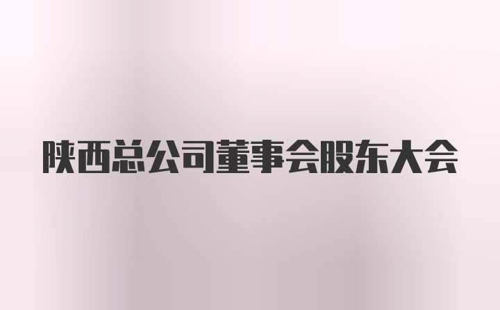 陕西总公司董事会股东大会