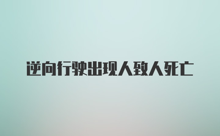 逆向行驶出现人致人死亡