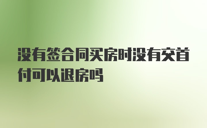 没有签合同买房时没有交首付可以退房吗