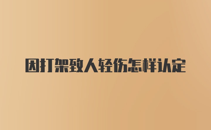 因打架致人轻伤怎样认定