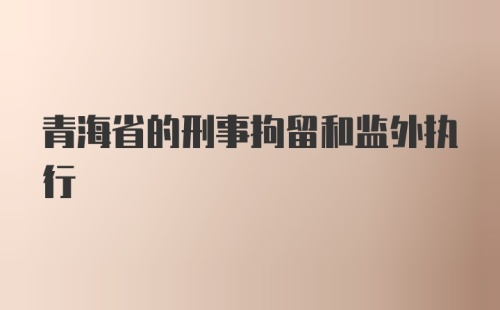 青海省的刑事拘留和监外执行