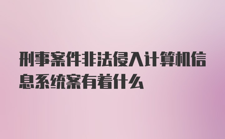 刑事案件非法侵入计算机信息系统案有着什么