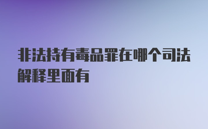 非法持有毒品罪在哪个司法解释里面有