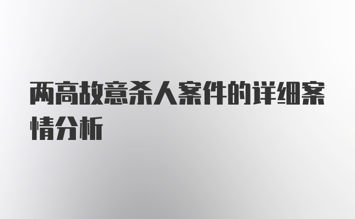 两高故意杀人案件的详细案情分析