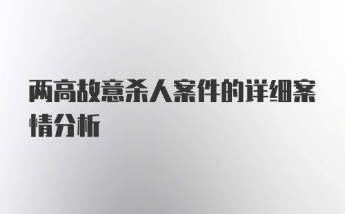 两高故意杀人案件的详细案情分析