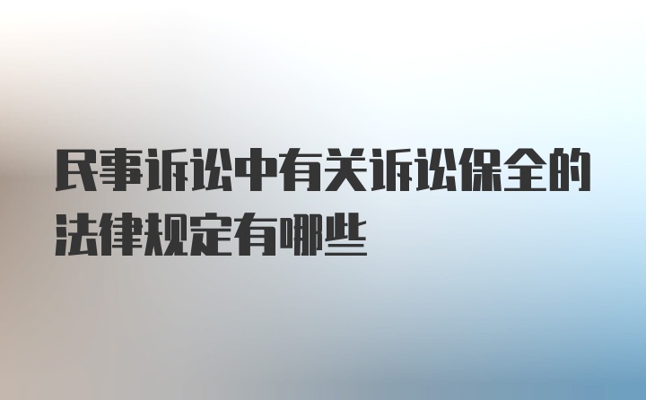 民事诉讼中有关诉讼保全的法律规定有哪些