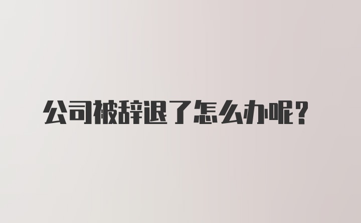 公司被辞退了怎么办呢?