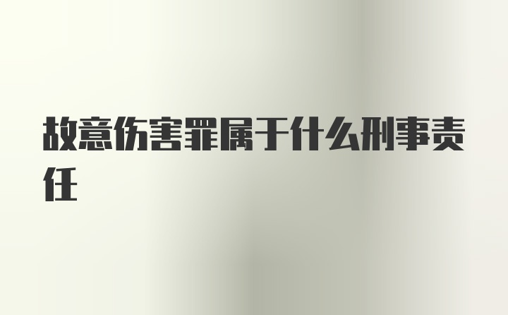 故意伤害罪属于什么刑事责任