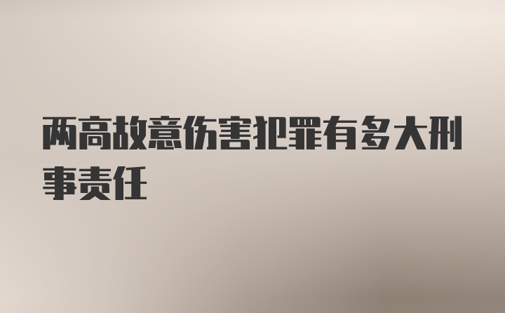 两高故意伤害犯罪有多大刑事责任