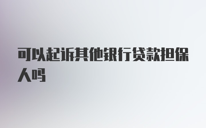 可以起诉其他银行贷款担保人吗